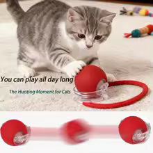 Intelligens macska játék