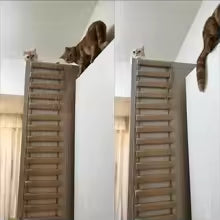 Macska kötél létra