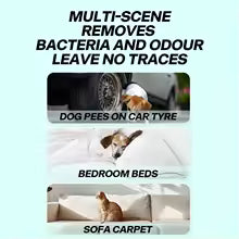 Macskariasztó spray Macskariasztó védelem Természetes hatékonyságú 12 ml-es nyugtató tréningeszköz kanapékhoz, szőnyegekhez, bútorokhoz