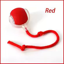 Intelligens macska játék