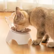 Csúszásmentes etető- és itatótálak