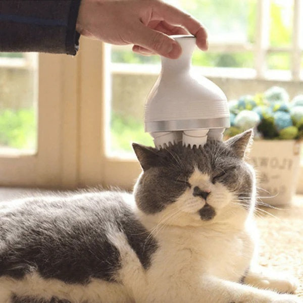 GentlePaws Cica masszírozó