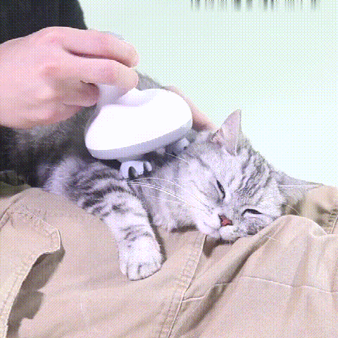 GentlePaws Cica masszírozó