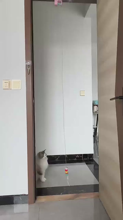 Repülő macska játék