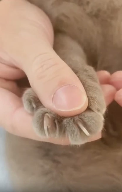 Kutya / macska körömvágó LED lámpával